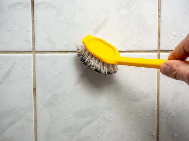 Best Localized Mold Remediation (e.g., coastal areas, humid climates) in White Hall, IL